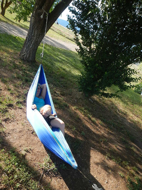 summertime hammock swing missoula montana