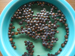 how to make allspice teething necklace