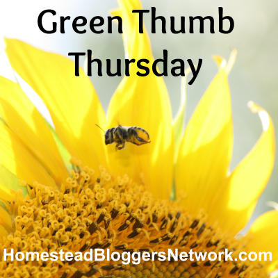 Green Thumb Thursday Linkup