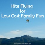 kite flying is a low cost fun family activity