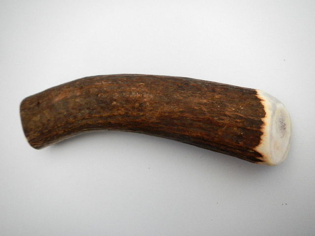 antler dog chew bone made from an all natural montana elk antler